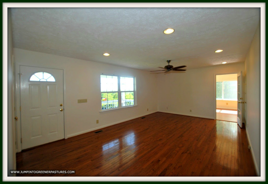 Rapidan VA Home for Sale - Living Room
