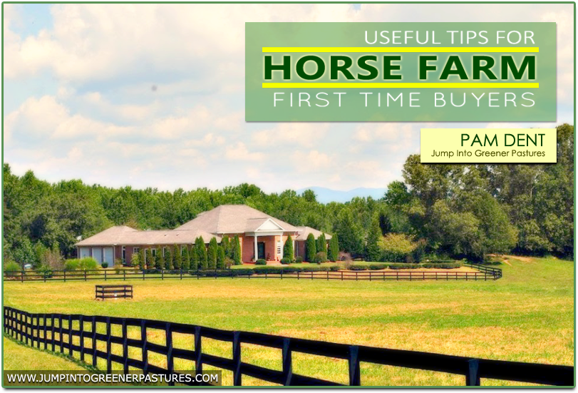 Tips for First-Time Buyers of Charlottesville Horse Farms