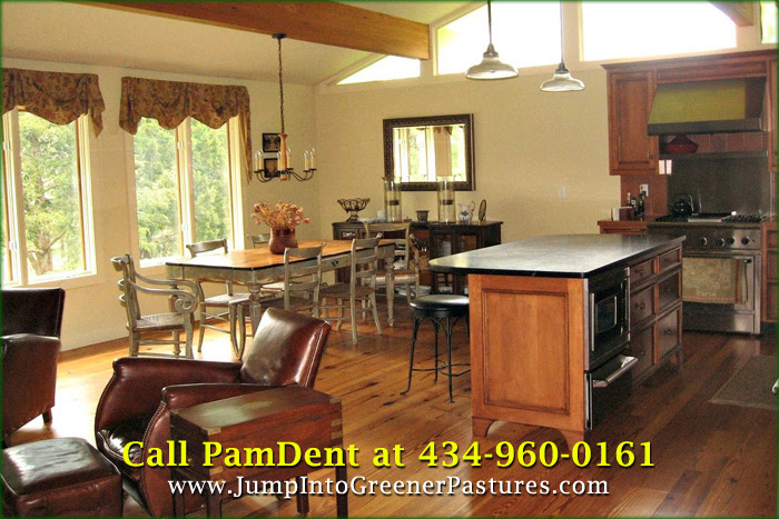 Home for Sale in Charlottesville VA - 2890 Pleasant View Ln - 008 Kitchen