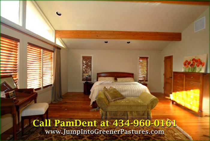 Home for Sale in Charlottesville VA - 2890 Pleasant View Ln - 014 Master Bedroom
