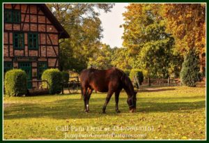 Virginia Horse Farm Soil Texting