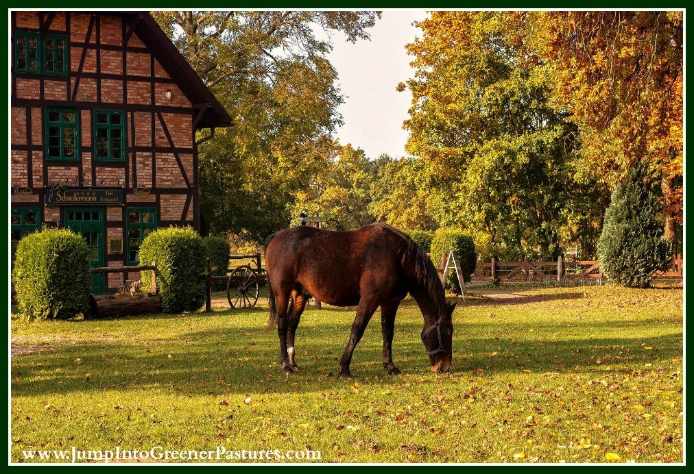 Charlottesville VA Horse Farms for Sale