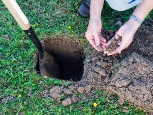 Virginia Horse Farm Soil Test