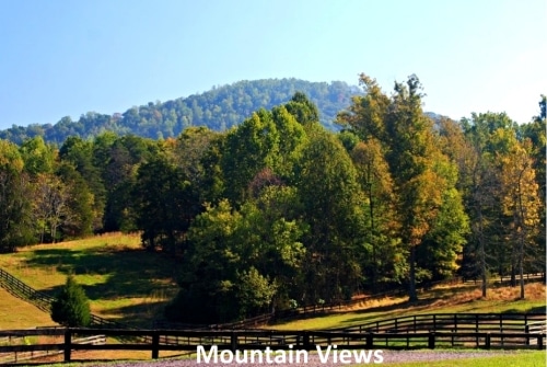 Mountain Views