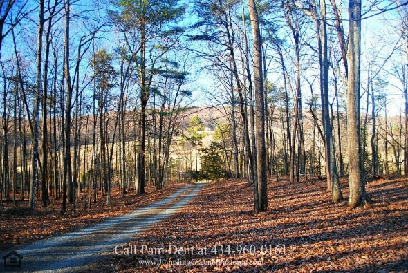 Country Property in Central VA