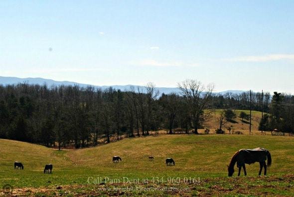 Horse Farms for Sale in Shenandoah Valley VA