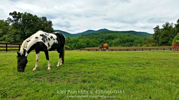 Charlottesville VA Horse Farm for Sale
