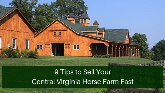 Virginia Equestrian Properties
