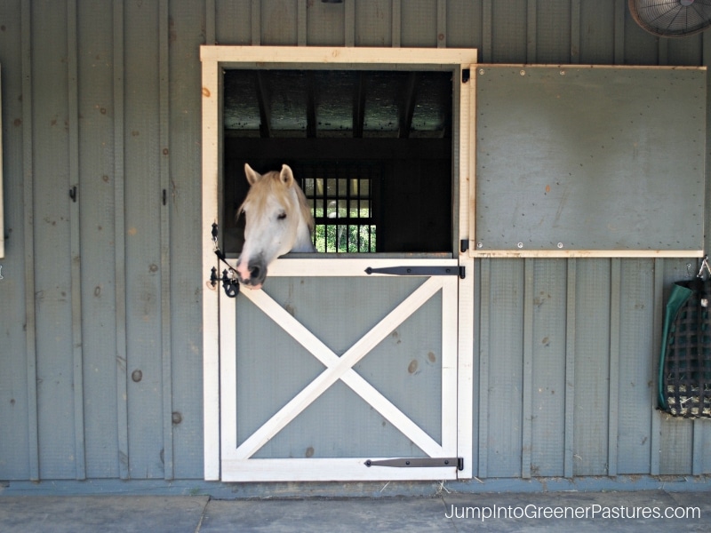 Charlottesville VA Horse Farms-  Reach your dream of owning a horse farm with this Charlottesville equestrian estate. 