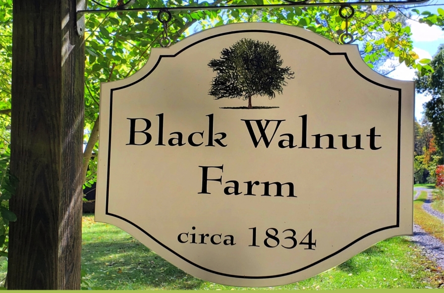 Black Walnut Farm PAM DENT