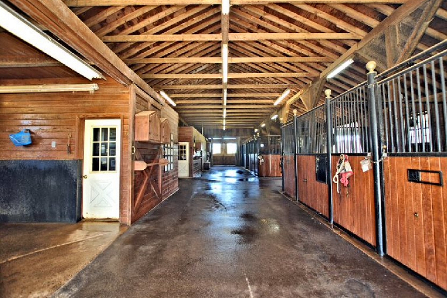 Cook Mountain Stable Office