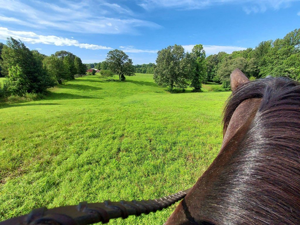 Exceptional horse farm